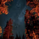 Meteor Showers