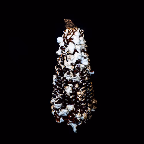 Mexican Native Corn - old