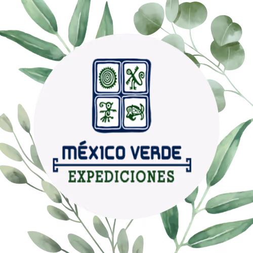 Mexico Verde Expediciones