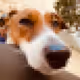 Miah in her PixelWorld