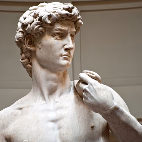 Michelangelo 's David