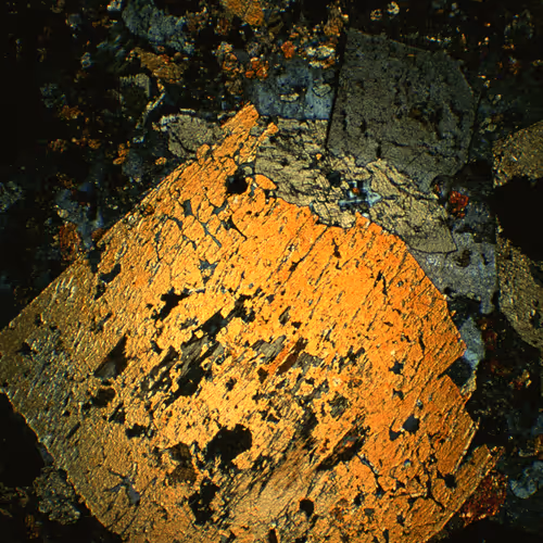 Microfossil - old