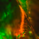 Micrographs