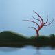 microtree