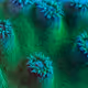 Microworld by DrowzyX