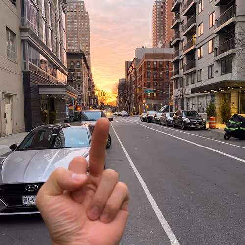 Middle Finger Approved