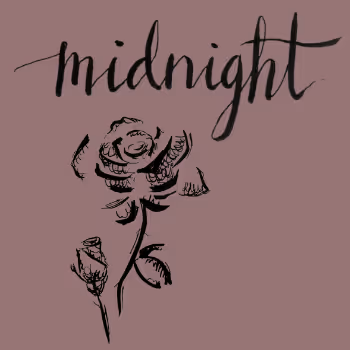 Midnight Rose - 7fn4cJ2Mt6