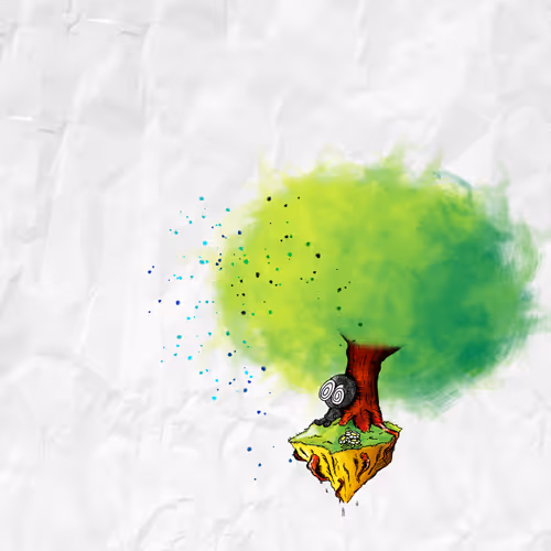 Miguel_Oncinos Collection