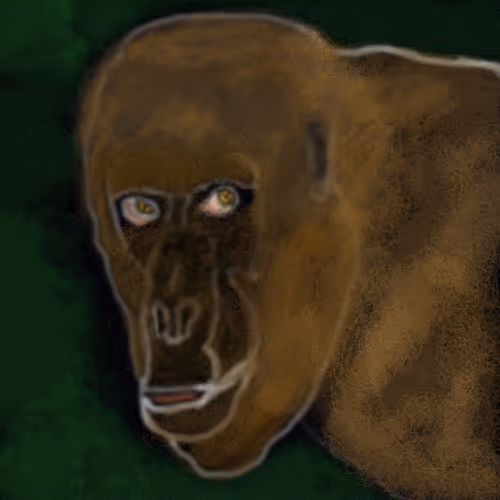 Mikongo Apes