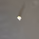 milk tooth