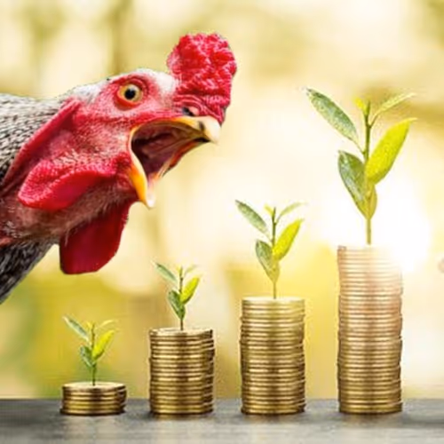 Millennial Common Sense