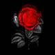 Million Rose