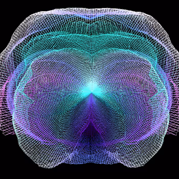 MIMESIS: NATURE
