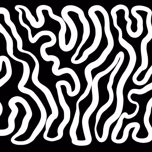 Mind Wanders
