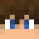 Minecraft Player Head