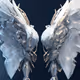 Etrernal Porcelain Wingz