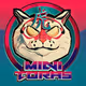 Mini Toras