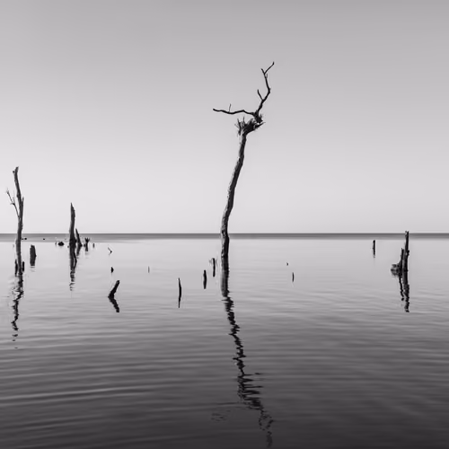 Minimal dream - old