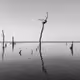 Minimal dream - old