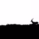 minimalism b&w - old