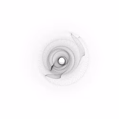 Minimalist Abstract Collection | White