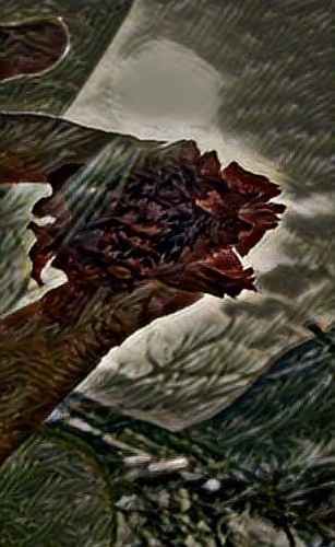 miracle of nature