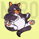 Miro The Cat