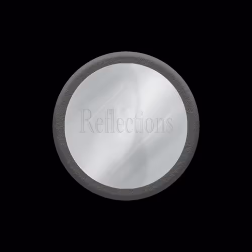 Mirrored-Reflections