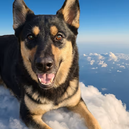 MISKA`S CLOUD