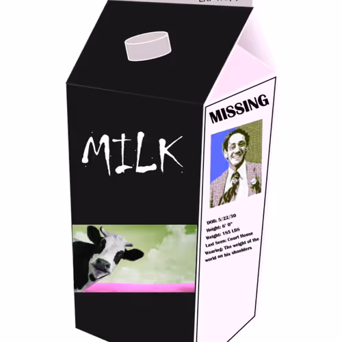 Missing Harvey Milk