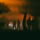Misty_Night - old