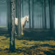 Misty days - old