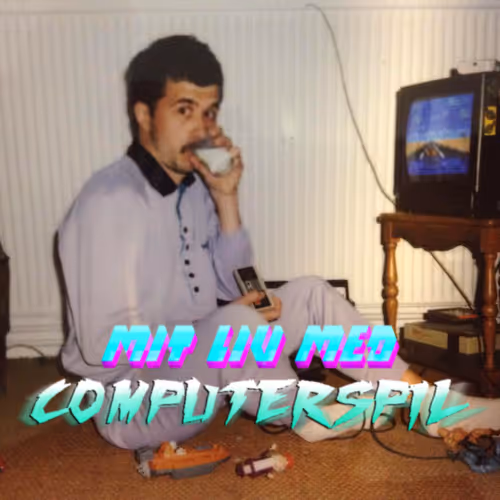 Mit Liv Med Computerspil