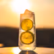 Mixology Meets Nature