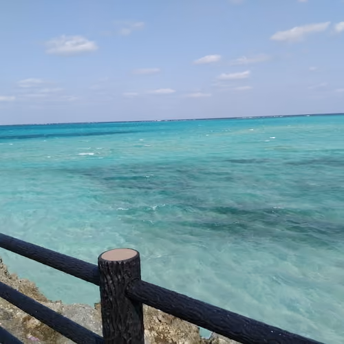 miyakojima okinawa japan nft
