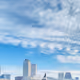MJ in the Sky