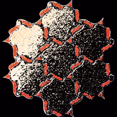 M N S : : R T H Y T H M T H S