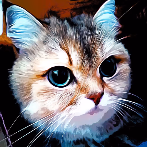 Mochi the Crypto Cat