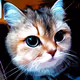 Mochi the Crypto Cat