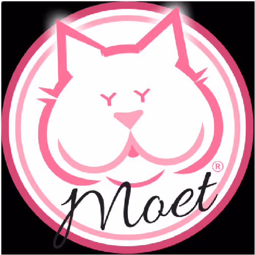 Moet the blind cat first tweet - old