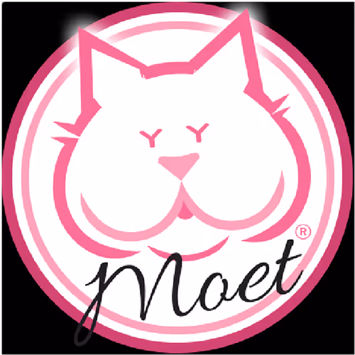 Moet the blind cat first tweet