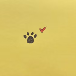 mojidoge