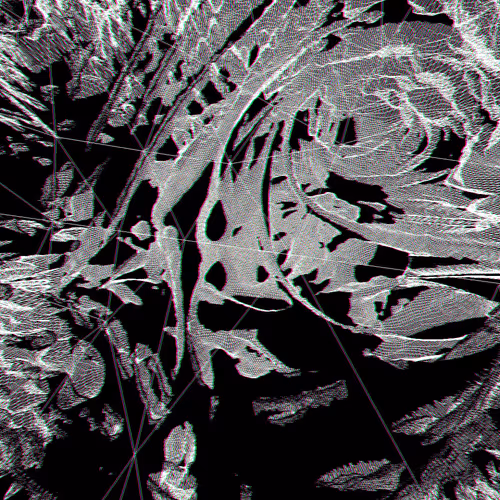 Molecular Mesh