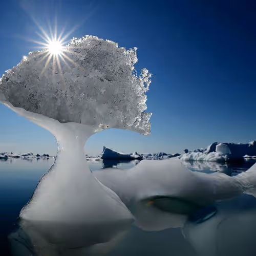 Preserve Greenland - old