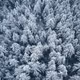Moments of Winter