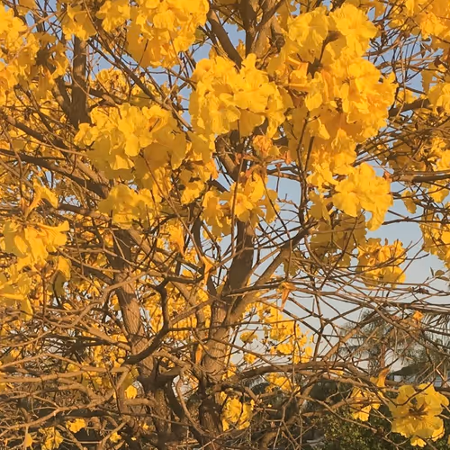 moments somewhere in time