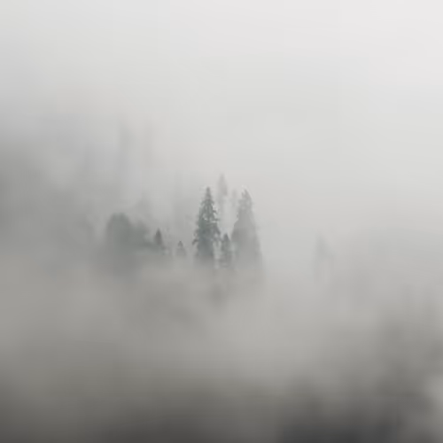 Moments in Monochrome - old