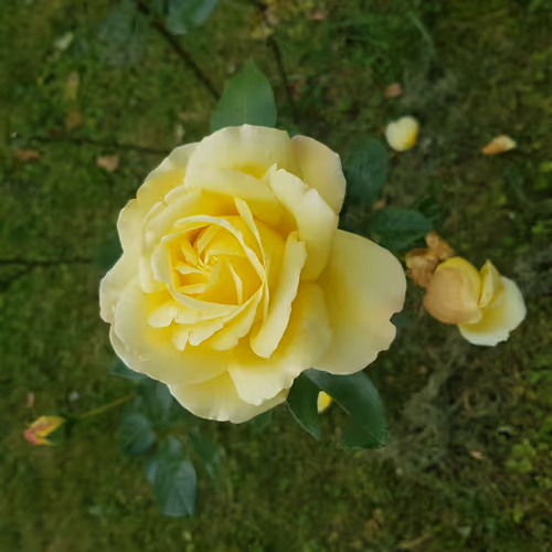 MomentsInTime-artimaster36