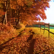 Moments of Memory