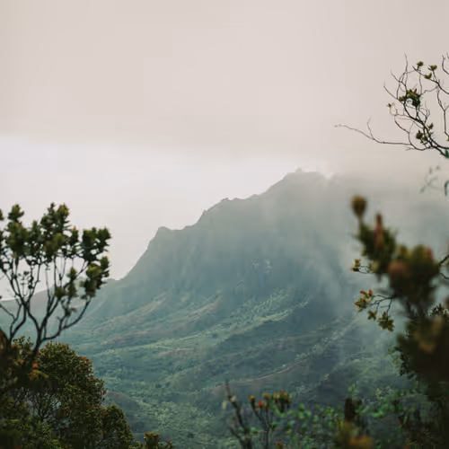 Moments on Kauai - old